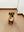 The Style Mutt Store logo