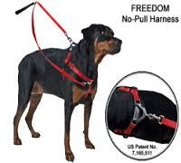 2 Hounds Freedom Harness  Assorted Colors